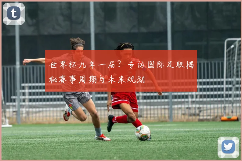 世界杯几年一届?专访国际足联揭秘赛事周期与未来规划
